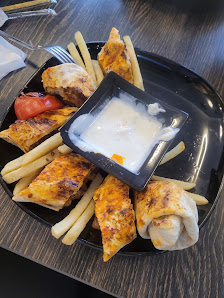 Kanat Izgara